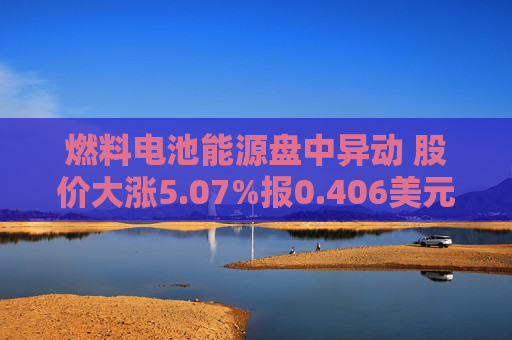 燃料电池能源盘中异动 股价大涨5.07%报0.406美元  第1张