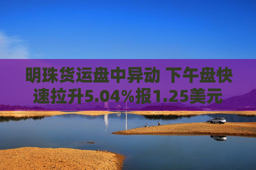 明珠货运盘中异动 下午盘快速拉升5.04%报1.25美元  第1张