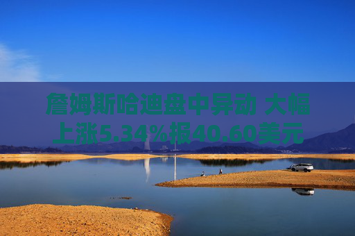 詹姆斯哈迪盘中异动 大幅上涨5.34%报40.60美元  第1张