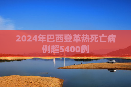 2024年巴西登革热死亡病例超5400例  第1张