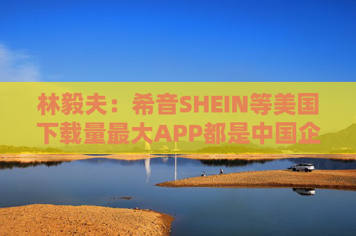 林毅夫：希音SHEIN等美国下载量最大APP都是中国企业所拥有的