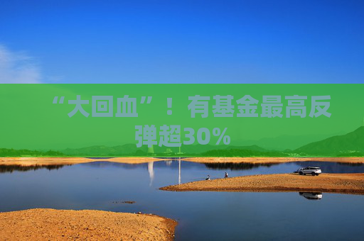 “大回血”！有基金最高反弹超30%