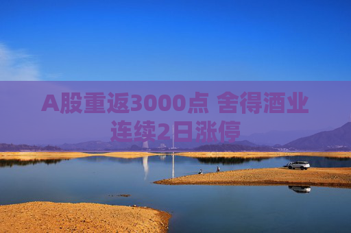 A股重返3000点 舍得酒业连续2日涨停  第1张