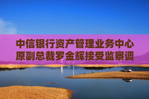 中信银行资产管理业务中心原副总裁罗金辉接受监察调查  第1张