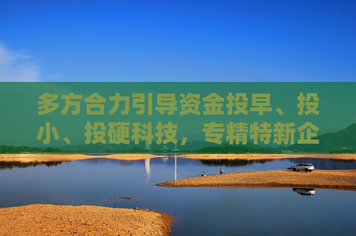 多方合力引导资金投早、投小、投硬科技，专精特新企业成年内IPO主力军  第1张