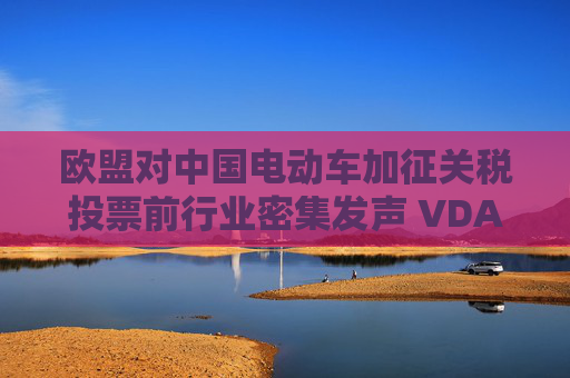 欧盟对中国电动车加征关税投票前行业密集发声 VDA：贸易保护主义将扭曲市场发展