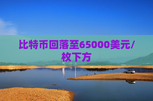 比特币回落至65000美元/枚下方