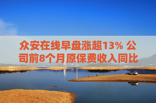 众安在线早盘涨超13% 公司前8个月原保费收入同比增长7.29%