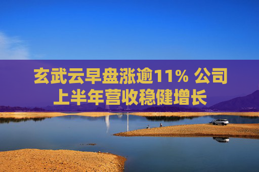 玄武云早盘涨逾11% 公司上半年营收稳健增长  第1张