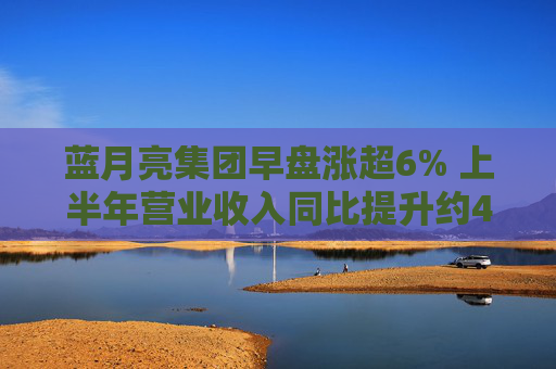 蓝月亮集团早盘涨超6% 上半年营业收入同比提升约40.9%