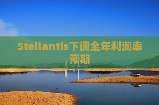 Stellantis下调全年利润率预期  第1张