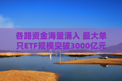 各路资金海量涌入 最大单只ETF规模突破3000亿元  第1张