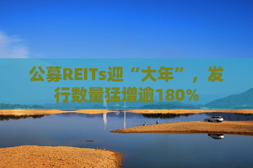 公募REITs迎“大年”，发行数量猛增逾180%  第1张