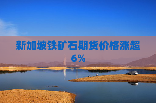 新加坡铁矿石期货价格涨超6%