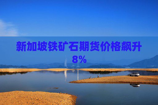 新加坡铁矿石期货价格飙升8%  第1张