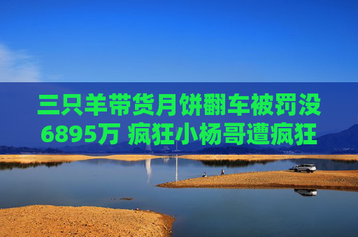 三只羊带货月饼翻车被罚没6895万 疯狂小杨哥遭疯狂反噬商业神话破灭