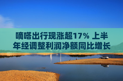 嘀嗒出行现涨超17% 上半年经调整利润净额同比增长51.3%  第1张