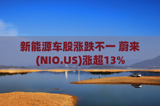 新能源车股涨跌不一 蔚来(NIO.US)涨超13%