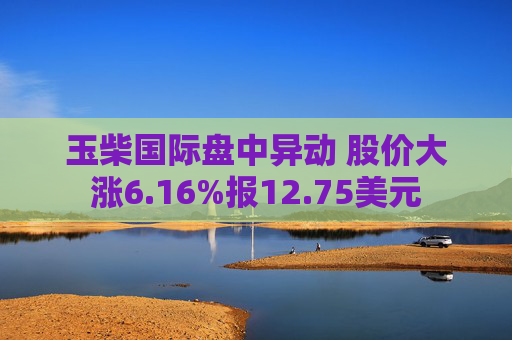 玉柴国际盘中异动 股价大涨6.16%报12.75美元