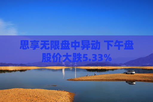 思享无限盘中异动 下午盘股价大跌5.33%  第1张