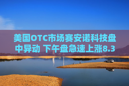 美国OTC市场赛安诺科技盘中异动 下午盘急速上涨8.37%报0.760美元  第1张