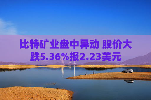 比特矿业盘中异动 股价大跌5.36%报2.23美元  第1张