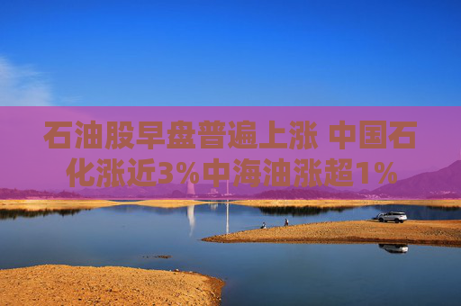 石油股早盘普遍上涨 中国石化涨近3%中海油涨超1%  第1张