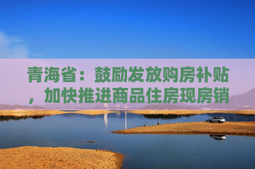 青海省：鼓励发放购房补贴，加快推进商品住房现房销售工作  第1张