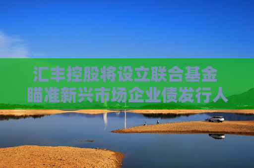 汇丰控股将设立联合基金 瞄准新兴市场企业债发行人