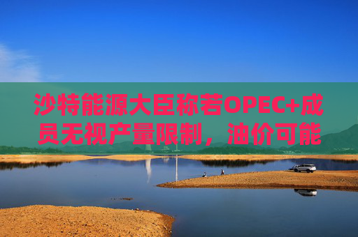 沙特能源大臣称若OPEC+成员无视产量限制，油价可能跌至50美元  第1张