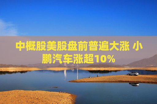 中概股美股盘前普遍大涨 小鹏汽车涨超10%  第1张