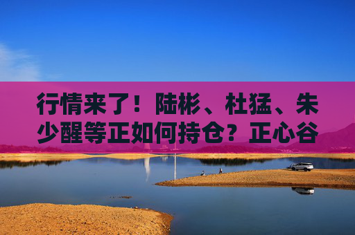 行情来了！陆彬、杜猛、朱少醒等正如何持仓？正心谷、高毅、高瓴等最新持仓曝光  第1张