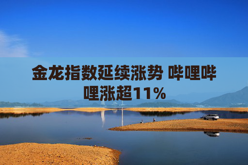 金龙指数延续涨势 哔哩哔哩涨超11%  第1张