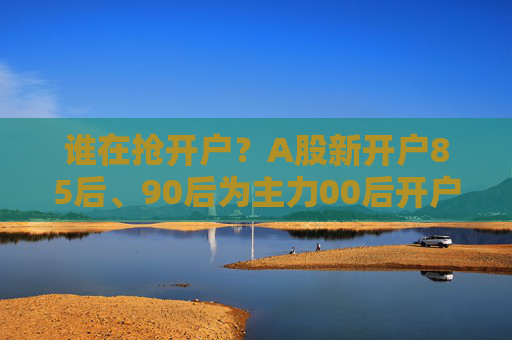 谁在抢开户？A股新开户85后、90后为主力00后开户数量明显提升  第1张