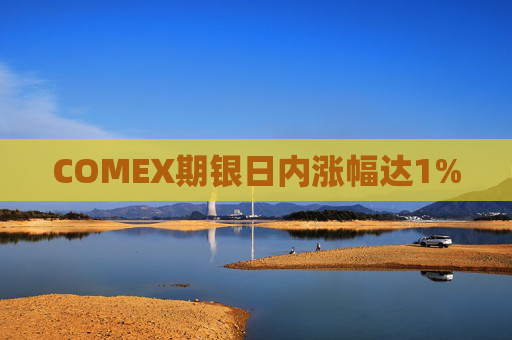 COMEX期银日内涨幅达1%  第1张