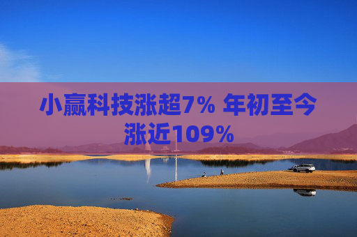 小赢科技涨超7% 年初至今涨近109%