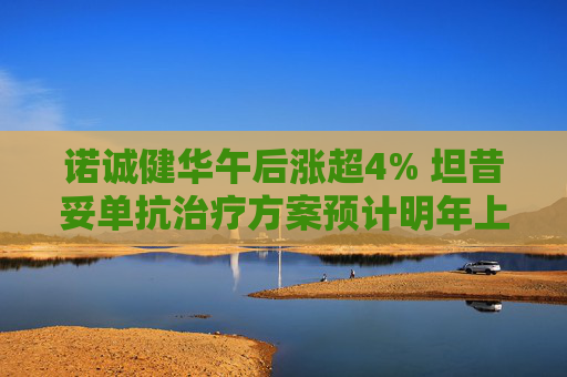 诺诚健华午后涨超4% 坦昔妥单抗治疗方案预计明年上市