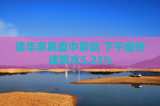 诺华家具盘中异动 下午盘快速跳水5.23%  第1张