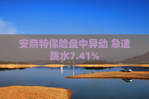 安奈特保险盘中异动 急速跳水7.41%  第1张