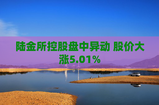 陆金所控股盘中异动 股价大涨5.01%  第1张