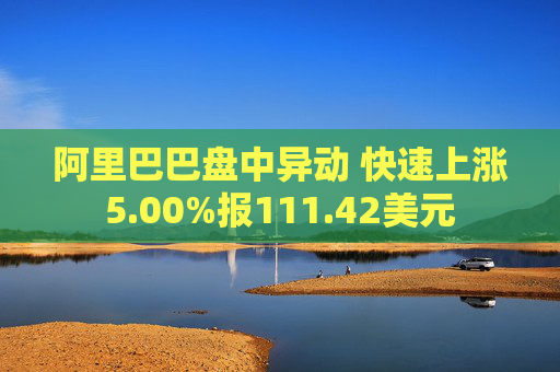 阿里巴巴盘中异动 快速上涨5.00%报111.42美元  第1张