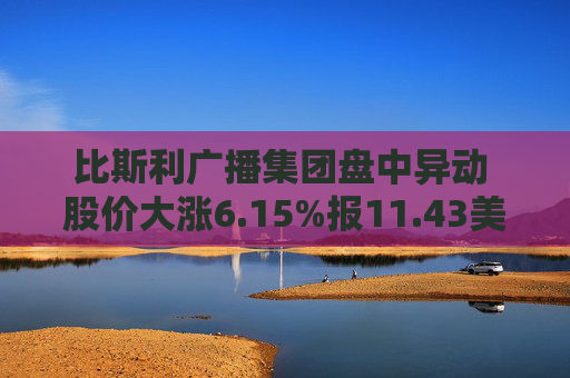 比斯利广播集团盘中异动 股价大涨6.15%报11.43美元  第1张