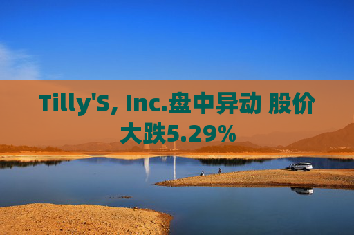 Tilly'S, Inc.盘中异动 股价大跌5.29%