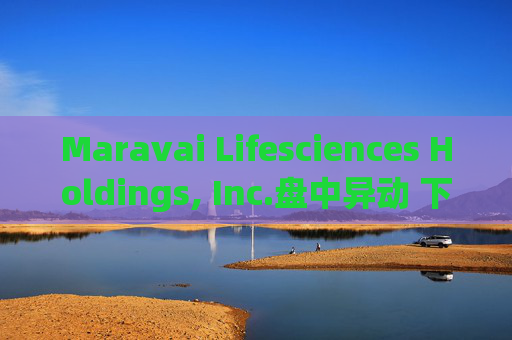 Maravai Lifesciences Holdings, Inc.盘中异动 下午盘股价大跌5.11%  第1张