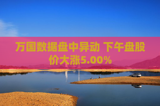 万国数据盘中异动 下午盘股价大涨5.00%  第1张