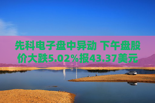 先科电子盘中异动 下午盘股价大跌5.02%报43.37美元  第1张