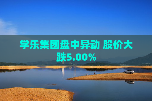 学乐集团盘中异动 股价大跌5.00%