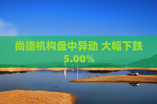 尚德机构盘中异动 大幅下跌5.00%