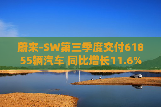 蔚来-SW第三季度交付61855辆汽车 同比增长11.6%