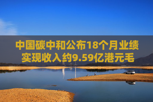 中国碳中和公布18个月业绩 实现收入约9.59亿港元毛利4990.5万港元  第1张